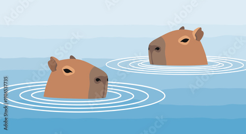 Peaceful scene of two brown capybaras swimming in calm blue water with ripples around them on a light background.