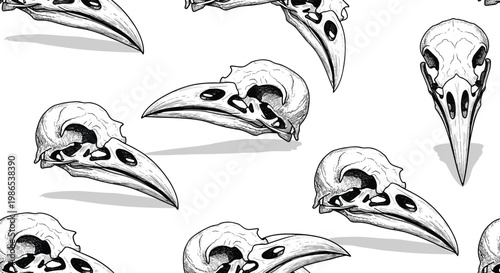 Intricate seamless pattern showing detailed bird skulls from different angles in black and white hand drawn style.