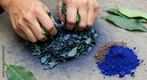 Hands Crushing Leaves for Natural Dyeing Process.