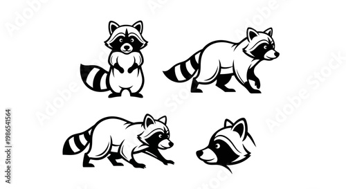 Raccoon Vector Illustrations - Standing, Walking, Head Profile, Black and White.