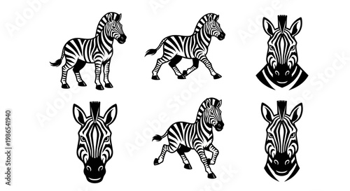 Striking Zebra Illustrations - A Collection of Black and White Designs.
