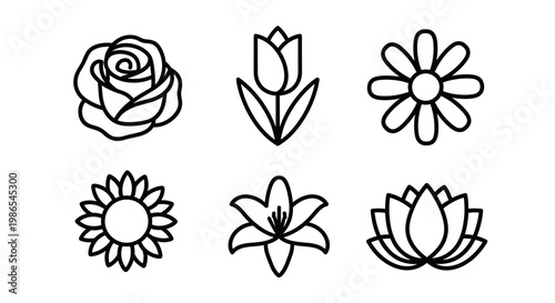 Black line drawings of various flowers.