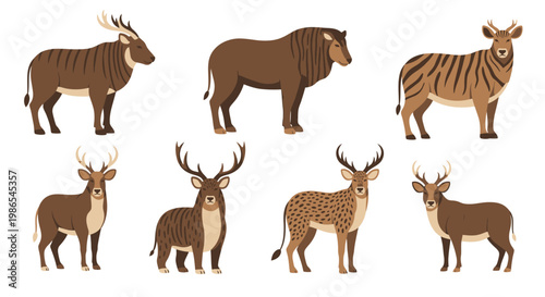 Variety of Wild Animals Standing Still.