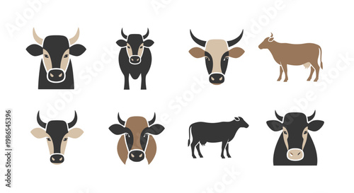 Cows and bulls in profile.