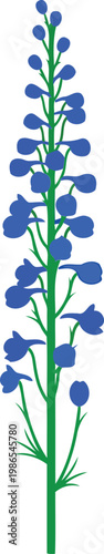 Blue delphinium flower green stem white background