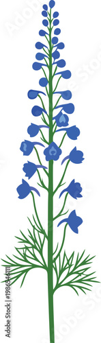 Blue delphinium flower with green stem and leaves blue flower