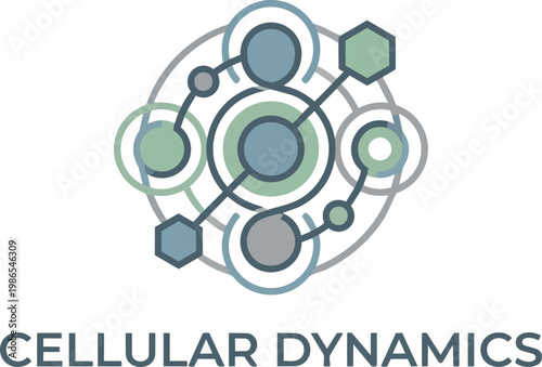Cellular Dynamics Visualization of Molecular Networks.