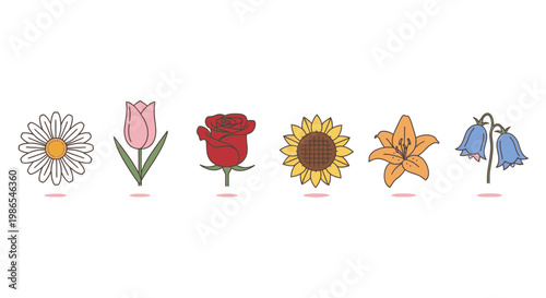 Collection of six flower types.