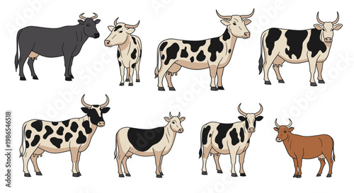 Group of cows standing together.