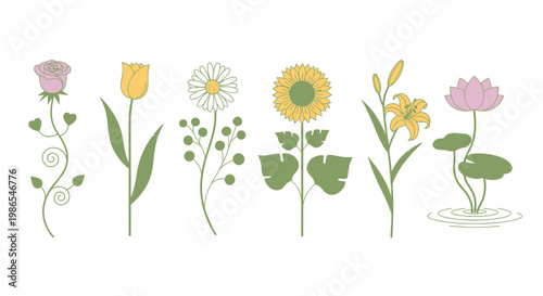 Colorful flowers in a row 5.