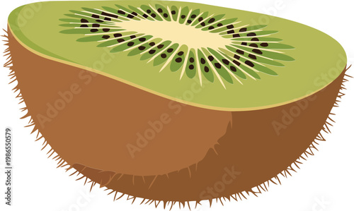 Cut kiwi fruit with fuzzy brown skin and green flesh