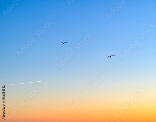 コピースペースを広く取った澄み渡る夕暮れの空と鳥のシルエットが映える風景写真