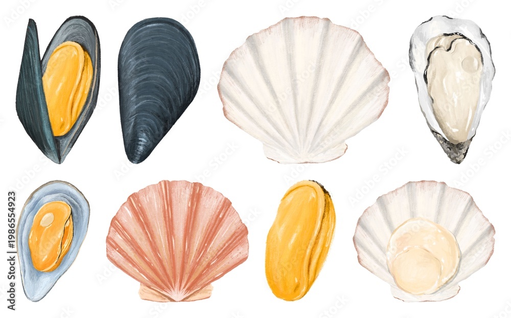 Fototapeta premium Colorful seashell watercolor illustrations element set