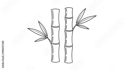 Elegant black and white line art illustration of two bamboo stalks with delicate leaves isolated on a white background.