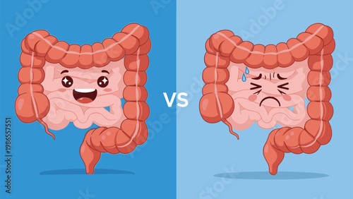 Comparative medical illustration shows the difference between a healthy happy intestine and an unhealthy pained digestive organ.