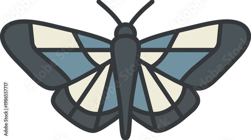 Colorful butterfly close up macro wings pattern.