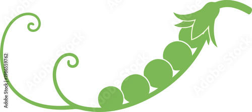 Green pea pod with curled vine curly vegetable