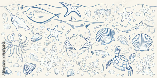 A whimsical blue sketch depicting various marine life and seashells