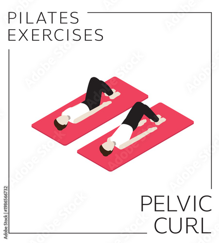 Pilates Pelvic Curl Exercise Isometric Vector