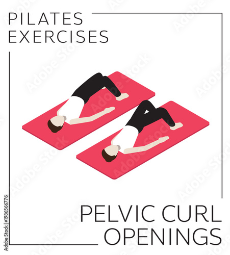 Pilates Pelvic Curl Openings Exercise Isometric Vector