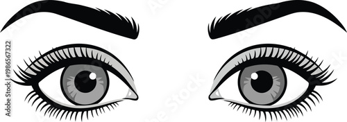 Beautiful female eyes with long eyelashes and defined eyebrows isolated on a clean white background