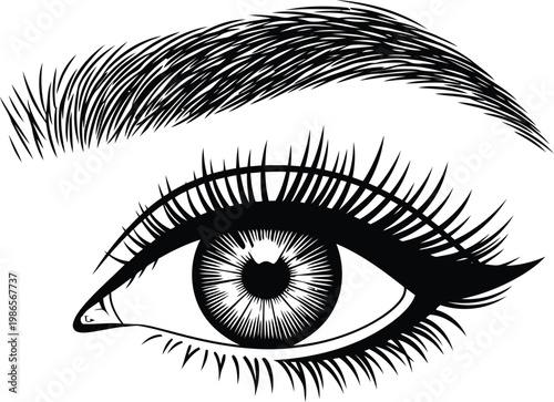 Elegant Hand Drawn Female Eye With Long Eyelashes And Shaped Eyebrows For Beauty Makeup Design