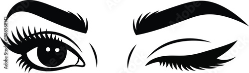 Beautiful female eyes with long eyelashes and elegant eyebrows isolated on white background vector illustration