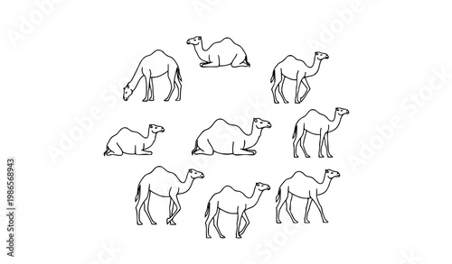 Camel outline vector set with side view dromedary poses in minimal line style for logo and icon design