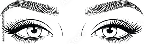 Elegant hand drawn female eyes with long eyelashes and shaped eyebrows for beauty salon design