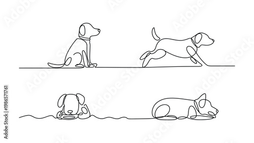 Continuous line drawing of dog and cat playing tug of war with rope toy in four stages line art