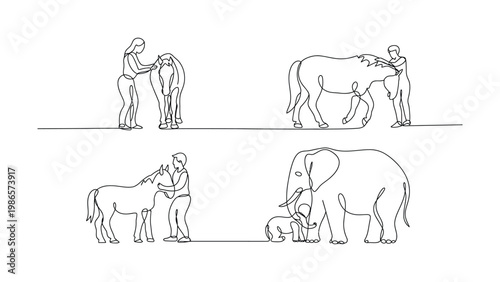 Continuous line drawings of people petting and interacting with horses and elephants in simple minimalist style  animal and human connection line art