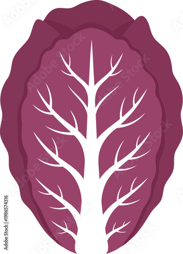 Red Cabbage with White Tree vegetable leafy greens