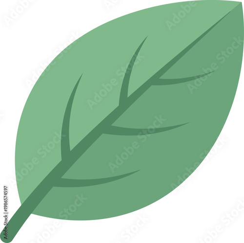 Leaf close up macro texture detail.