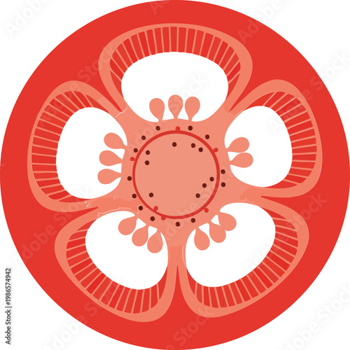Red circular flower with white petals and brown details