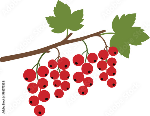 Red currants on a branch with green leaves currant branch