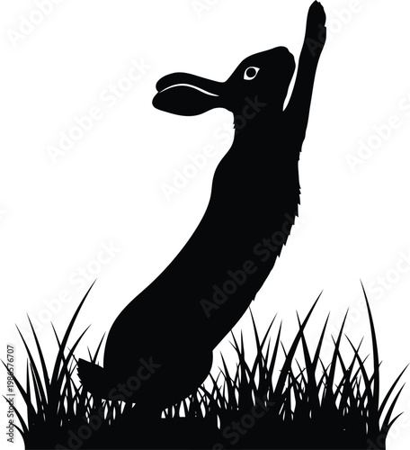 black silhouette of a rabbit standing on hind legs in grass