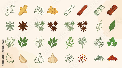 A vibrant collection of hand-drawn illustrations showcasing a diverse array of aromatic spices and herbs, perfect for culinary inspiration.