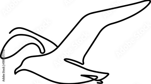 Line art seagull in flight.