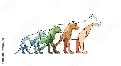 Evolution of Mammals From Primates to Canids, a Visual Journey Through Time