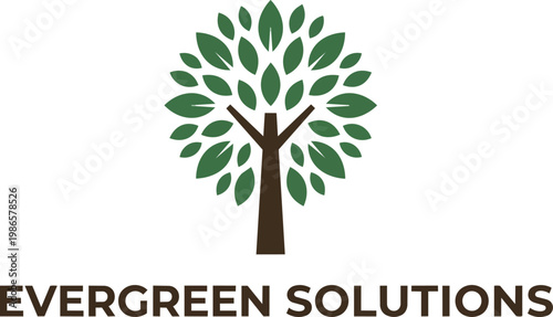 Evergreen tree logo with stylized trunk and leaves.