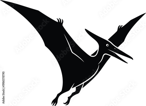 flying pterodactyl silhouette with white background