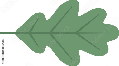 green leaf silhouette illustration nature theme.