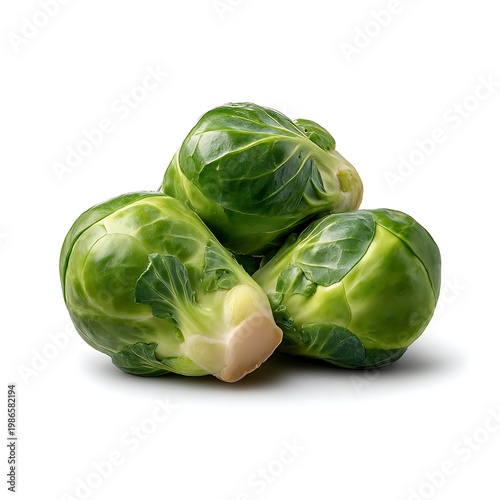 Fresh and Organic Brussels Sprouts Ready to Be Prepared for Delicious Healthy Meals