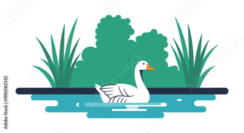 White Duck Swimming on Water Surface.