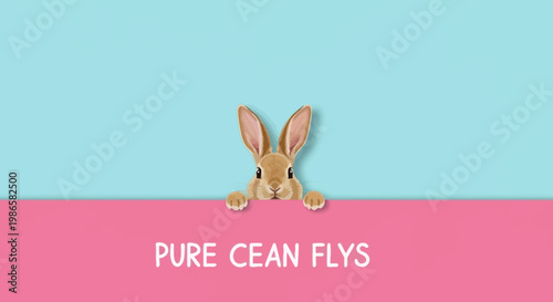 Cute little rabbit peeking up.