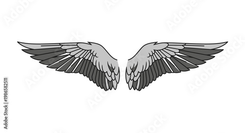 Detailed illustration of bird wings.