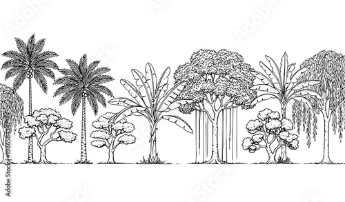 Tropical toile seamless border vintage botanical trees palm banana banyan oak willow black and white vector illustration