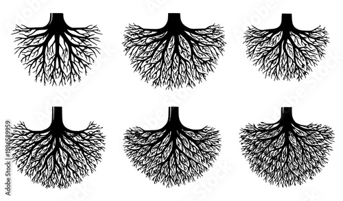 Black tree root system cross section vector set with bold underground structures isolated on white background
