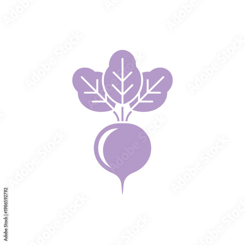 Purple beetroot with leaves vegetable purple