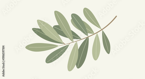 A minimalist illustration of a slender branch with elongated green leaves